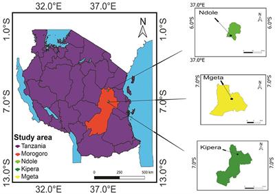 Impact of mulching treatments on growth, yields, and economics of common bean (Phaseolus vulgaris L.) in Eastern Tanzania